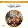 Download track Piano Trio In A Minor For Violin, Cello And Piano, Op. 50: II B. Variazione Finale E Coda