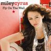 Download track Fly On The Wall
