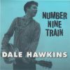 Download track Number Nine Train