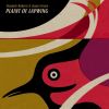 Download track Plaint Of Lapwing