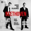 Download track 11. Beethoven Sehnsucht, WoO 134 IV. Assai Adagio