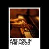Download track Are You In The Mood