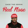Download track Red Nose