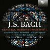 Download track Cantata Sehet, Welche Eine Liebe, BWV 64 IV. Choral Was Frag Ich Nach Der Welt