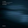 Download track 30. Sinfonia No. 15 In B Minor BWV 801