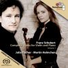 Download track 11 - Sonata For Violin And Piano In G Minor, D. 408 - IV. Allegro Moderato