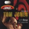 Download track The Ballad Of Tom Jones (Sure Is Pure Dub Mix)