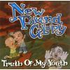 Download track Truth Of My Youth (Acoustic) 