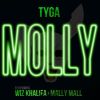 Download track Molly