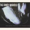 Download track The Dandy Warhols T. V. Theme Song