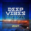 Download track Deep Vibes Mix 1