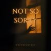 Download track Not So Sorry (Extended Mix)