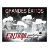 Download track De Sinaloa Para El Mundo