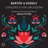Download track Concerto For Orchestra, Sz. 116, BB 123: I. Introduzione. Andante Non Troppo - Allegro Vivace