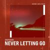 Download track Never Letting Go