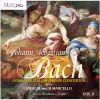 Download track Concerto In C Minor, BWV 981 