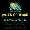 Download track Walls Of Tears (Instrumental Mix)