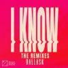 Download track I Know (DLMT Remix)