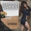Download track Barrio - Cumbia Sonidera (Remix)