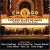 Download track Born In Chicago