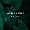 Download track Feel Relaxed In The Sound Of Nature