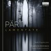 Download track Lamentate: V. Solitudine -Stato D'animo