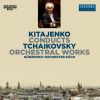 Download track String Quartet No. 1 In D Major, Op. 11: II. Andante Cantabile, TH 63 (Version For Cello & String Orchestra)