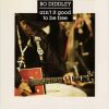 Download track Bo Diddley Put The Rock In Rock'n'Roll