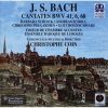 Download track 13. Cantate BWV 68 Also Hat Gott Die Welt Geliebt - Choral