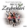Download track Aydın Zeybeği