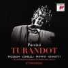 Download track Wagner: Turandot, SC 91: Wagner: Turandot, SC 91: Act II: Scene 2: Un Giuramento Atroce Mi Costringe