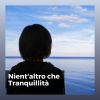 Download track Spirito Musicale Curativo
