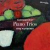Download track Sergei Rachmaninoff: Elegiac Trio No. 2 In D Minor: II. Quasi Variazione. Andante 1917 Version