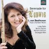Download track Serenade In D Major For Flute, Violin & Viola, Op. 25: II. Tempo Ordinario D'un Menuetto
