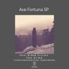 Download track Ave Fortuna (Radio Edit)