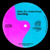 Download track Searching (Original Mix)