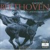 Download track Ludwig Van Beethoven: Symphony No. 7 In A, Op. 92 - 2. Allegretto