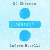 Download track Perfect (Acoustic)