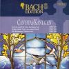 Download track Sei Lob Und Ehr' Dem Höchsten Gut BWV 117 - V Recitativo (Alto)