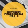 Download track Piano Sonata No. 1 In F Minor, Op. 2 No. 1: III. Menuetto, Allegretto