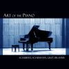 Download track Piano Sonata In B Minor, S. 178 C. Grandioso