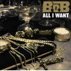 Download track All I Want
