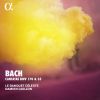 Download track Organ Sonata No. 3 In D Minor, BWV 527: II. Adagio E Dolce