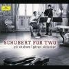 Download track Sonata For Arpeggione And Piano In A Minor, D. 821 - Schubert: Sonata For Arpeggione And Piano In A Minor, D. 821 - 1. Allegro Moderato