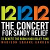 Download track Hallelujah (Sandy Relief Version) [Live]