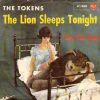 Download track The Lion Sleeps Tonight