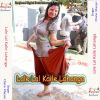 Download track Jab Se Charhal Ba Fagunwa
