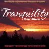 Download track Tranquility (Original Mix)