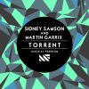 Download track Torrent (Original Mix)