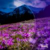 Download track Violet Meadows (Original Mix)